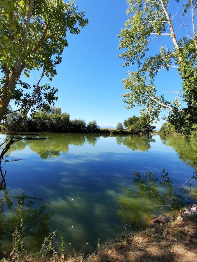 Demeure De Charme Apartman Mazères Kültér fotó